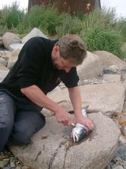 IMGP1536k.JPG (12367 Byte)