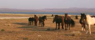 b0322k.jpg (5764 Byte)